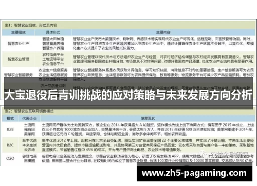 大宝退役后青训挑战的应对策略与未来发展方向分析
