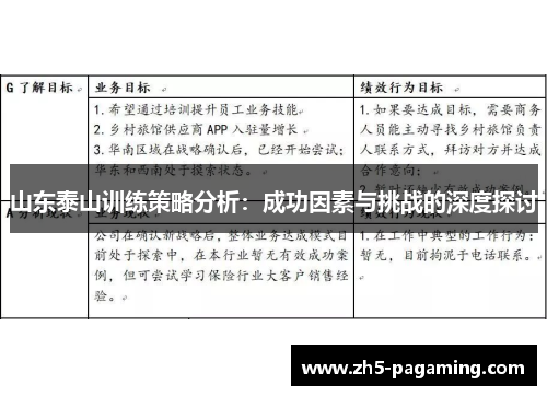 山东泰山训练策略分析：成功因素与挑战的深度探讨