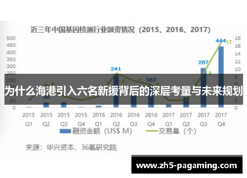 为什么海港引入六名新援背后的深层考量与未来规划