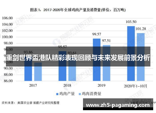 重剑世界盃港队精彩表现回顾与未来发展前景分析