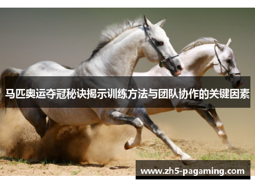 马匹奥运夺冠秘诀揭示训练方法与团队协作的关键因素