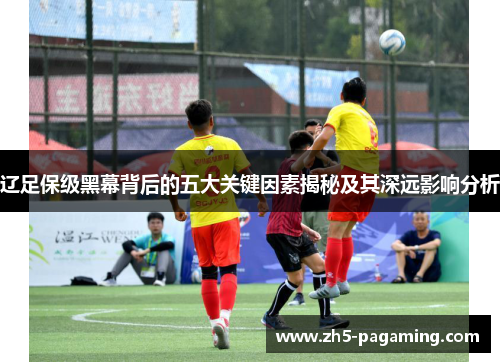 辽足保级黑幕背后的五大关键因素揭秘及其深远影响分析